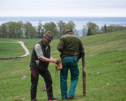 Hans und Wolfi bauen einen Zaun
